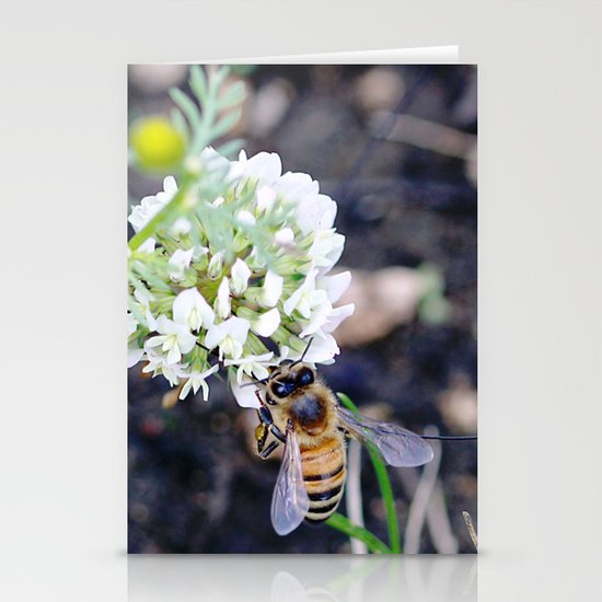 Busy Stationery Cards