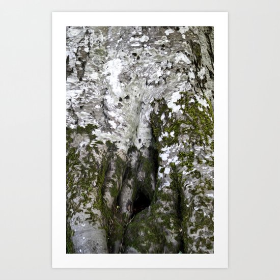 Bark Art Print