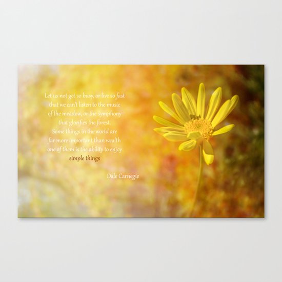 Yellow Daisy (Euryops) Canvas Print