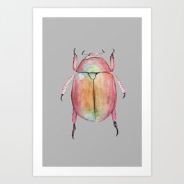 Australian Christmas Beetle - Watercolour Art Art Print