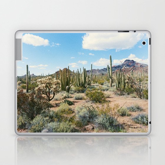 Desert Plant Growth Laptop & iPad Skin