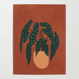 Boho Terracotta Begonia Poster