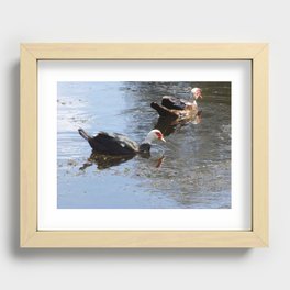 Sweet Duck Couple Recessed Framed Print