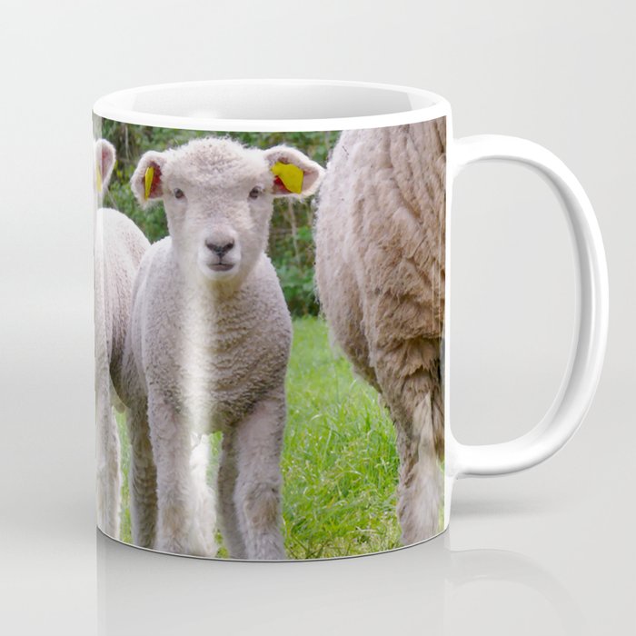 Two Cute Little Lambs Standing Next Coffee Mug