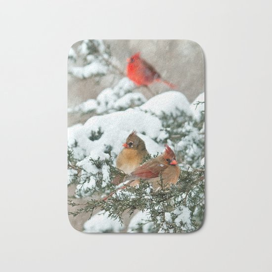 After the Snow Storm: Three Cardinals Bath Mat