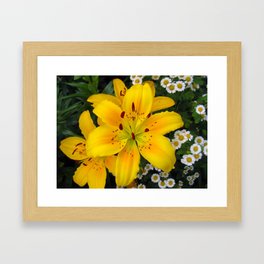 Smiling Golden Lily Framed Art Print