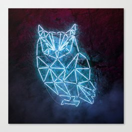 Fluorescent Owl Canvas Print