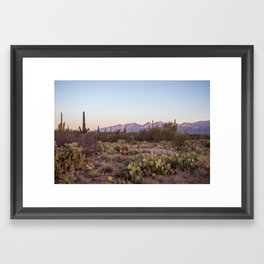 Saguaro National Park Cactus Sunrise Framed Art Print