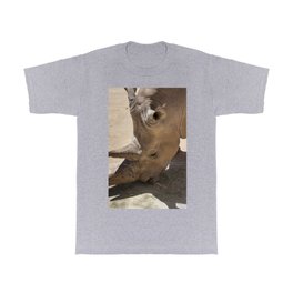 White Rhino T Shirt | Rare, Eating, Head, Horned, Photograph, Rhinoceros, Rhino, Africa, Animal, African 