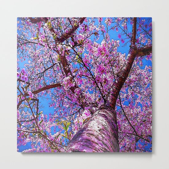 CHERRY BLOSSOM TREE Metal Print