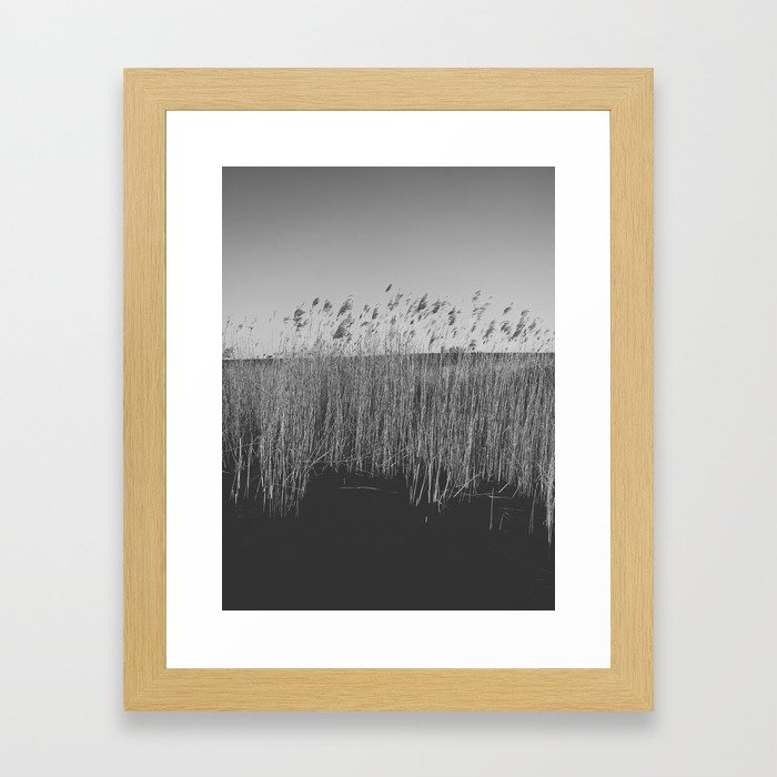 Black and white tall grass in a little lake.. Framed Art Print