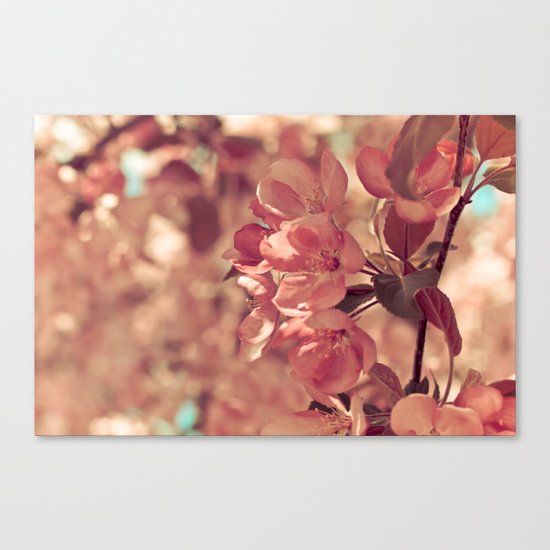 Ode to pink Canvas Print