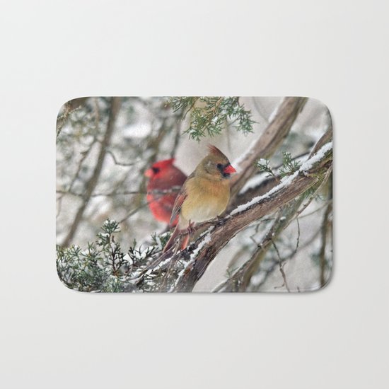 Tandem Cardinals Bath Mat
