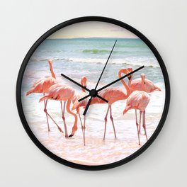 Aruba Wall Clock | Aruba, Pastel, Flamingos, Photo, Pink, Beach, Retro, Animal, Flamingo, Sky 