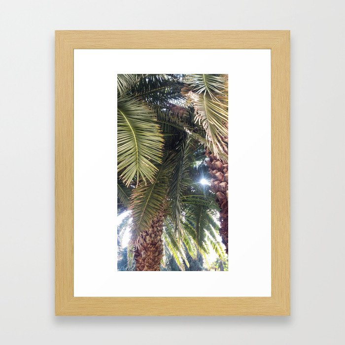 Palm Framed Art Print