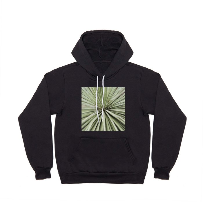 Sage green yucca plant - desert plant mexico - travel photography   Hoody