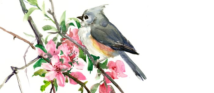 Titmouse And Cherry Blossom Birds And Flowers Design Artwork