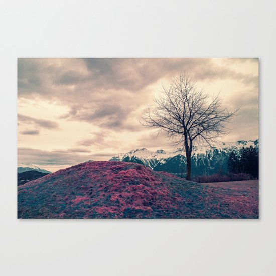 Japanese Mountains Canvas Print