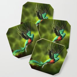 Resplendent Quetzal Coaster