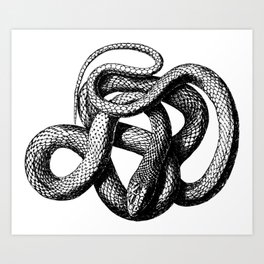Snake | Snakes | Snake ball | Serpent | Slither | Reptile Art Print