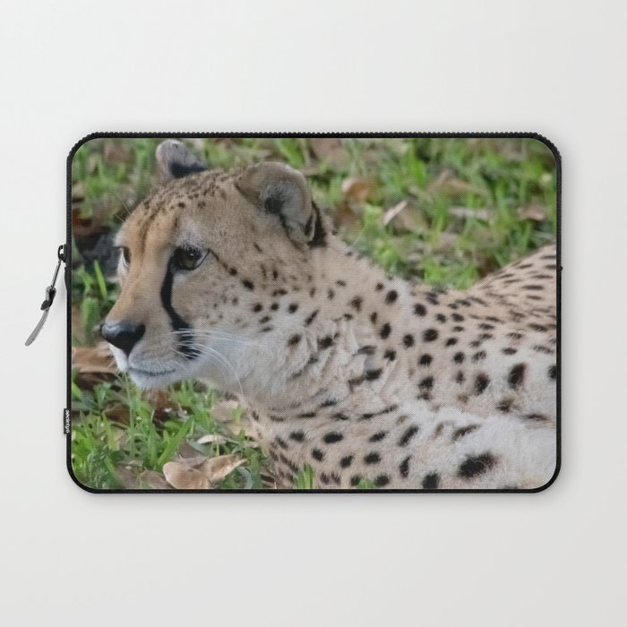 cheetah looking around Laptop Sleeve