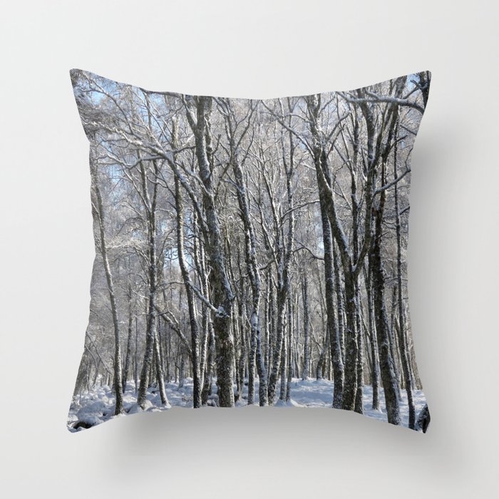 Snow Laden Birch Trees  Throw Pillow