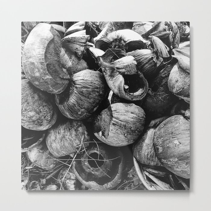 Coconut Shell Black and White Metal Print