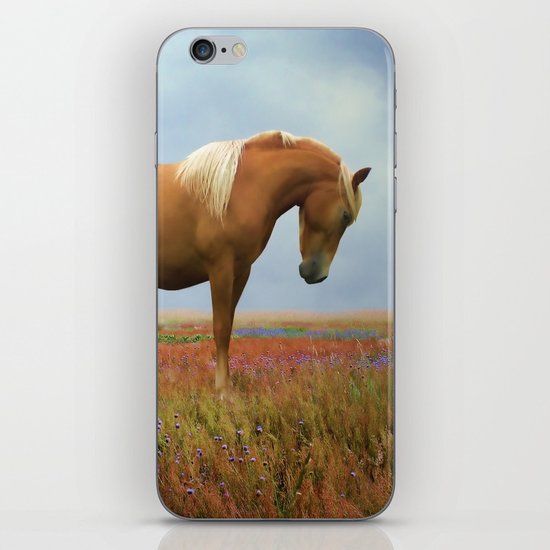 Painted Pastures iPhone & iPod Skin
