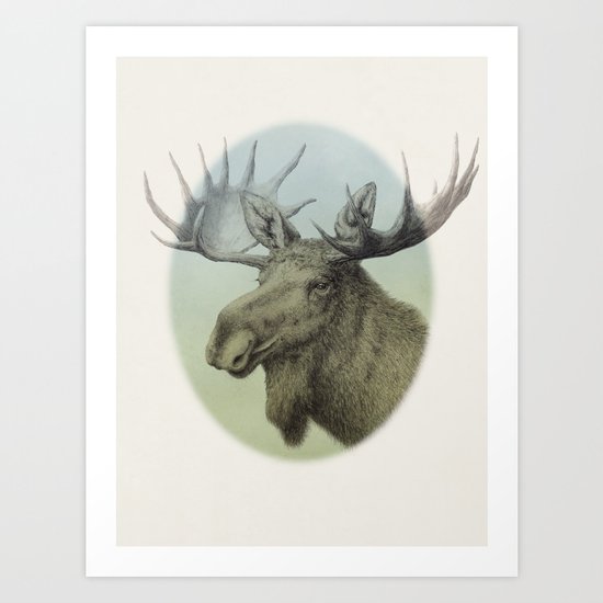 Moose head elk Art Print