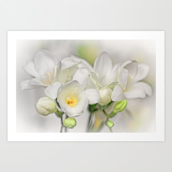 Couple of Freesias... Art Print