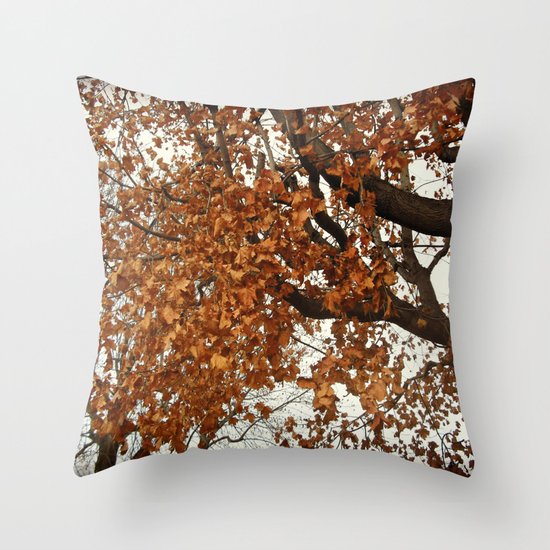 Colors Thriving As The Leaves Are Dying Throw Pillow