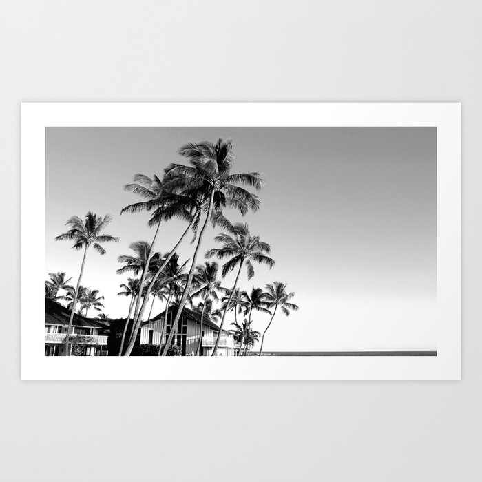 Palm Trees Poipu Art Print