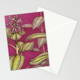 From Puerto Rico: Part 1 Stationery Card