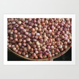 Little Onions in basket - Illustration Art Print