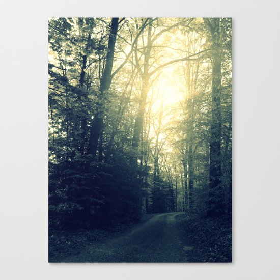 Take a Back Road Canvas Print