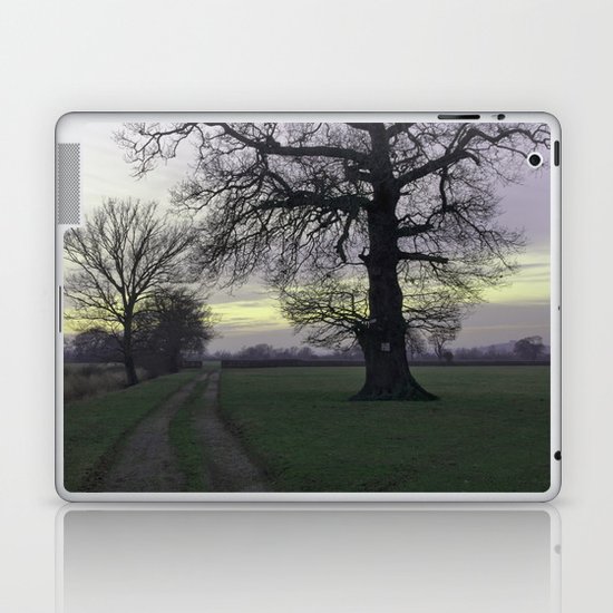 evening light... Laptop & iPad Skin