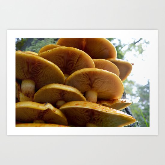 Another autumn Art Print