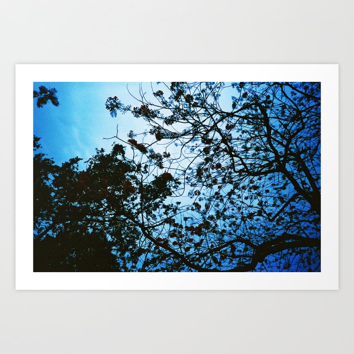 blue Tree Art Print