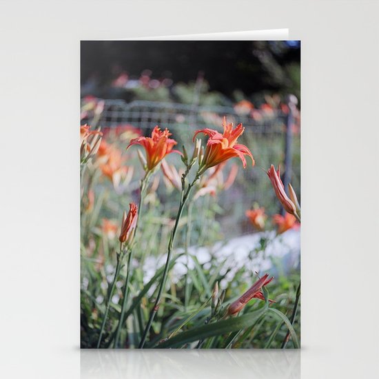 Day Lilies Stationery Cards