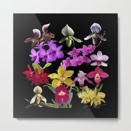 Orchids Galore Metal Print