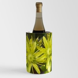 Blooming Green Wine Chiller