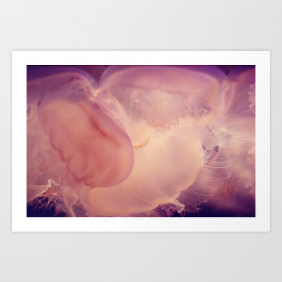 jelly . fish Art Print