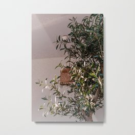 Olive Tree Still Live - Mediterranean Style Interior Photograph - Nature & Interior Photography Metal Print