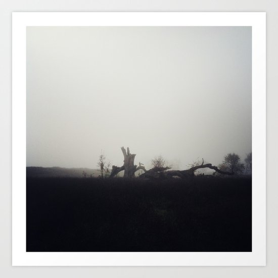 Fallen Tree Art Print