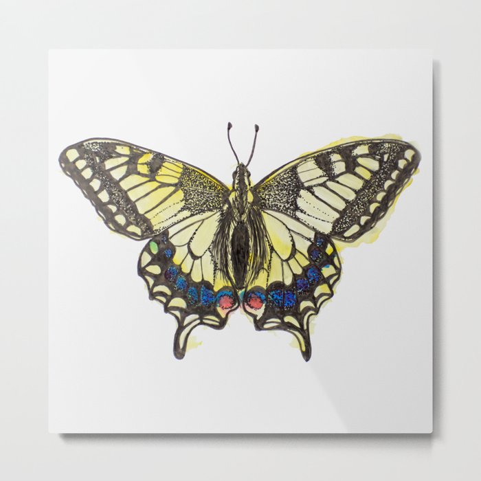 Swallowtail Butterfly Metal Print
