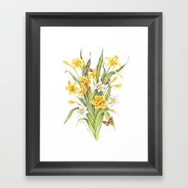 Daffodils and Butterflies Framed Art Print