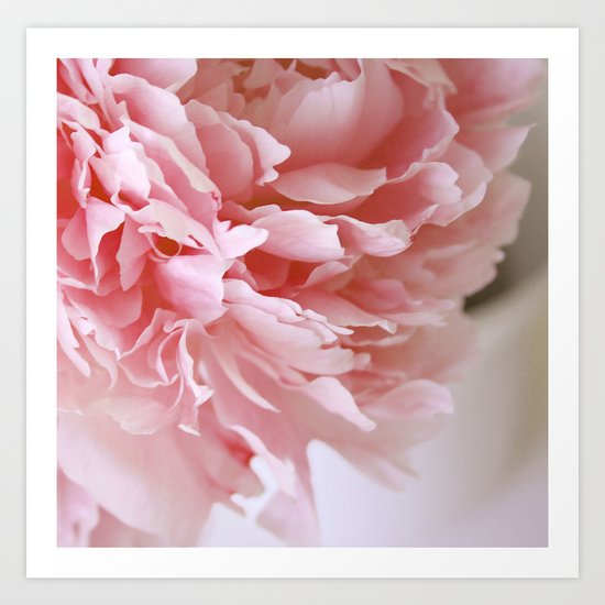 Peony Pink Art Print by Hilary Upton | Society6