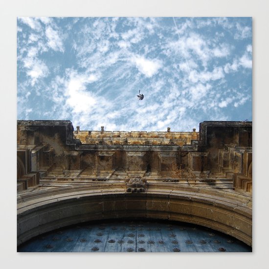 paloma Canvas Print