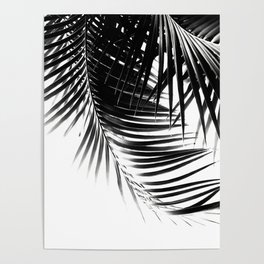 Palm Leaves Black & White Vibes #1 #tropical #decor #art #society6 Poster