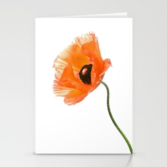poppy flower IV Stationery Cards